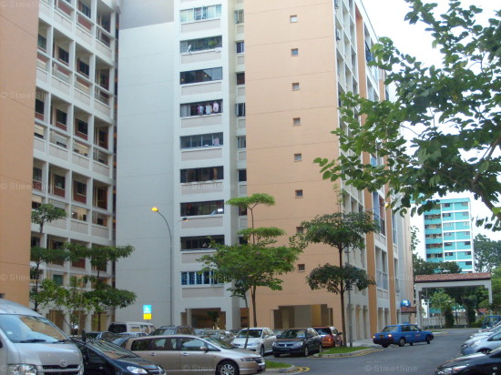 Blk 110 Mcnair Road (Kallang/Whampoa), HDB Executive #409092